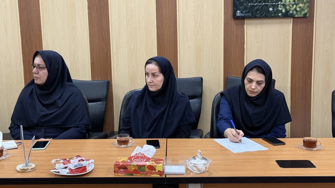 آغاز به کار شورای هماهنگی پرستاری استان؛ گامی برای هم‌افزایی و حل مشکلات