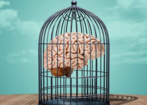 تصلب شناختی و انعطاف‌پذیری ذهن