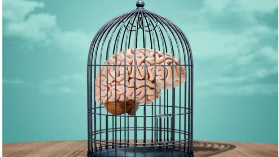 تصلب شناختی و انعطاف‌پذیری ذهن