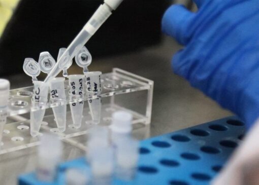 حمایت ویژه ایران‌ساخت از خریداران تجهیزات پیشرفته ژنتیک