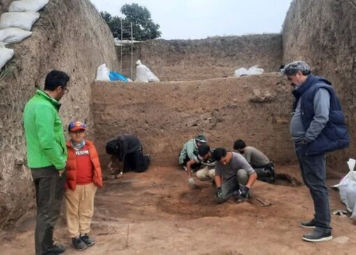 شکفتن دانه برنج ۳ هزار ساله در کاوش‌های قلعه‌کِش آمل