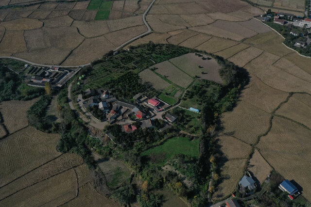 شکفتن دانه برنج ۳ هزار ساله در کاوش‌های قلعه‌کِش آمل