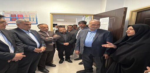 معاون آموزشی وزارت بهداشت در سرخنکلاته: تاکید بر توسعه آموزش میدانی و بررسی استقرار کارورزی پزشکی ‌خانواده