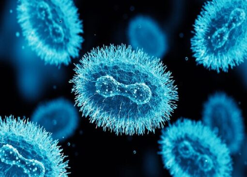 هوش مصنوعی پاشنه آشیل آبله میمونی را پیدا کرد