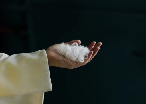 هوش مصنوعی پرهای مرغ را به پارچه کشمیر تبدیل می‌کند