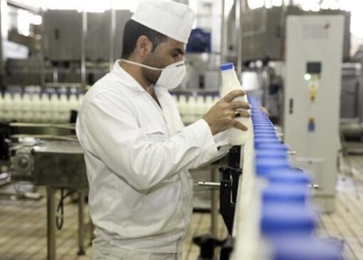 ورود دادستانی تهران به تخلفات مربوط به بازار لبنیات