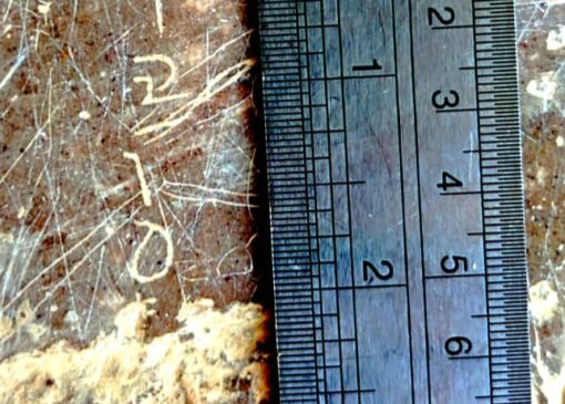 کشف کتیبه ای با محتوای «یکی از جشن های ساسانیان» در مرودشت