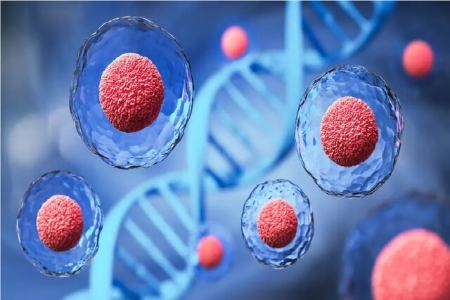 ژن،اخبار پزشکی،خبرهای پزشکی ژن،اخبار پزشکی،خبرهای پزشکی