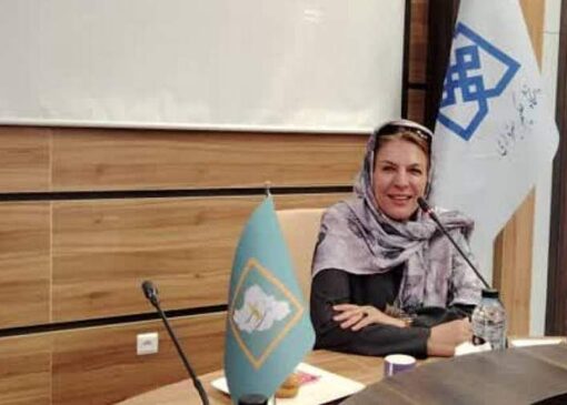 کنش نمایشی چیست ؟