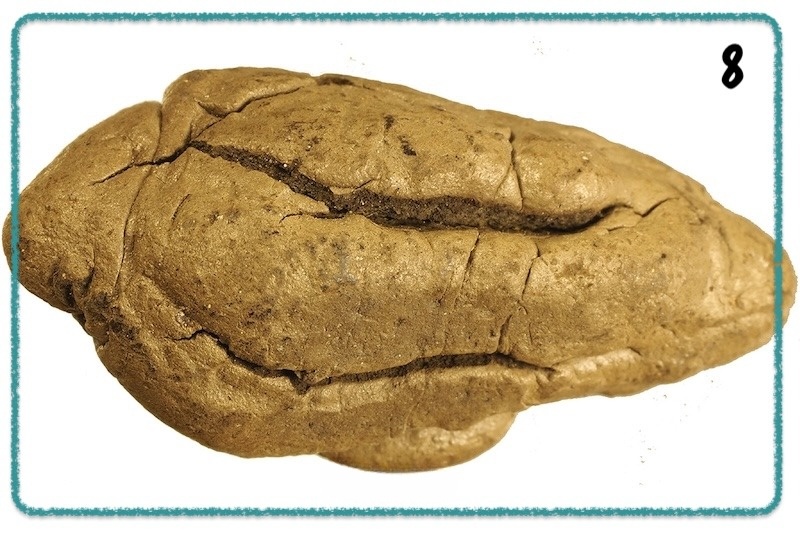 ۱۰ کشف برتر باستان شناسی جهان در سال ۲۰۲۵