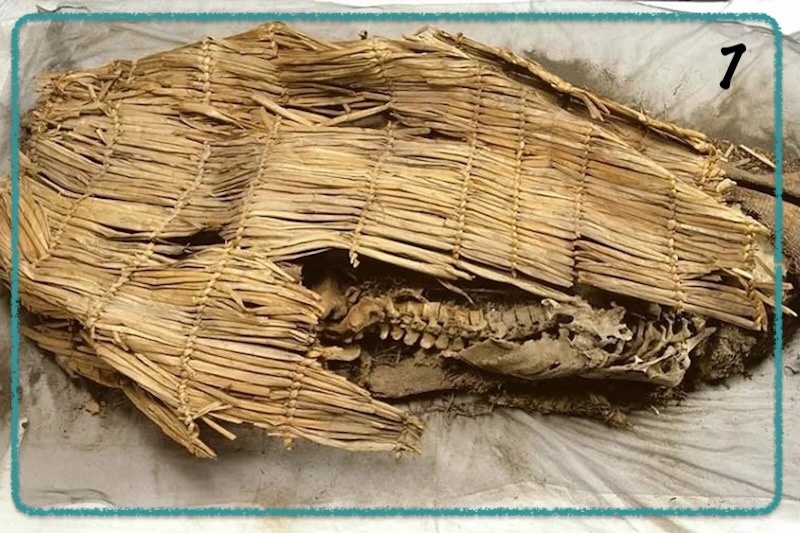 ۱۰ کشف برتر باستان شناسی جهان در سال ۲۰۲۵