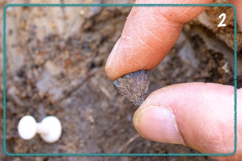 ۱۰ کشف برتر باستان شناسی جهان در سال ۲۰۲۵