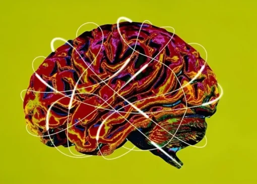 دانشمندان با الهام از مغز انسان، هوش مصنوعی کم‌مصرف می‌سازند