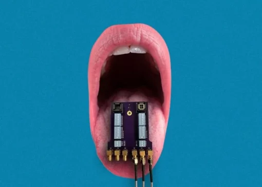 زبان الکترونیکی هوشمند، راه‌حل محققان برای تشخیص سریع فساد و آلودگی در مواد غذایی