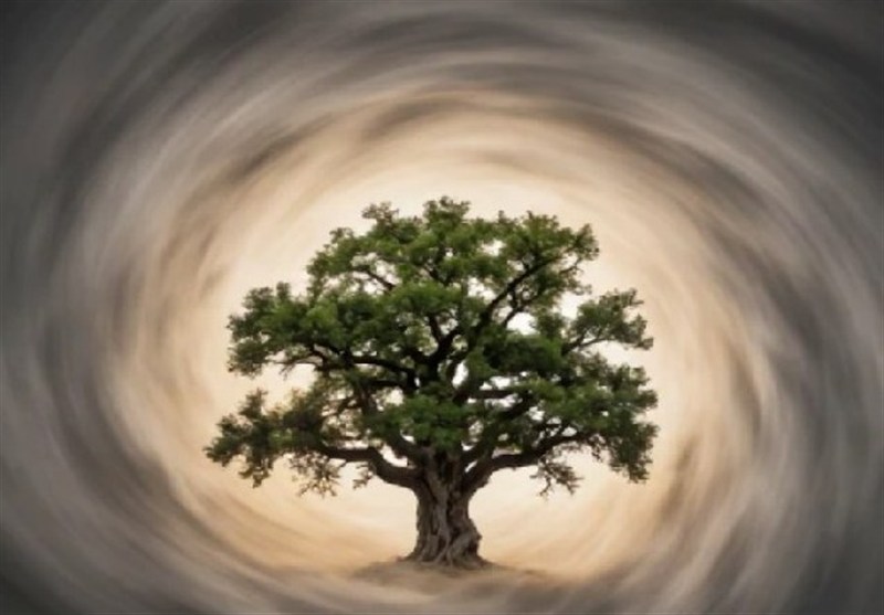 نهج حیات| راز آرامش در دلِ سختیها نهج حیات| راز آرامش در دلِ سختیها