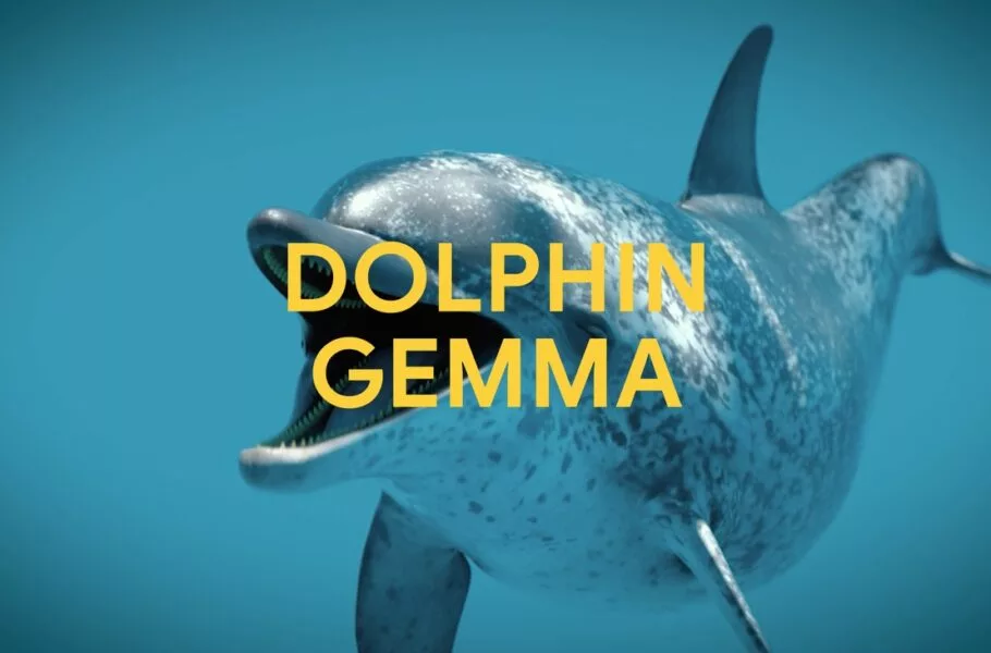 هوش مصنوعی جدید گوگل برای رمزگشایی صدای دلفین‌ها معرفی شد