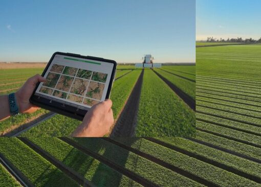 با هوش مصنوعی مزرعه‌دار آشنا شوید!