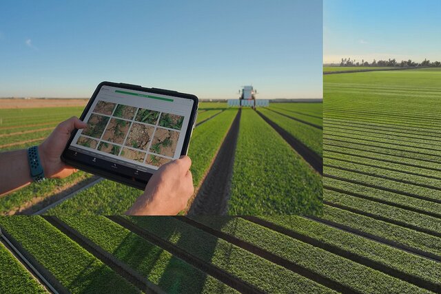 با هوش مصنوعی مزرعه‌دار آشنا شوید!