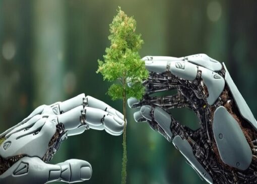 بهره‌برداری آزمایشی از فاز اول سکوی هوش مصنوعی سازمان محیط زیست