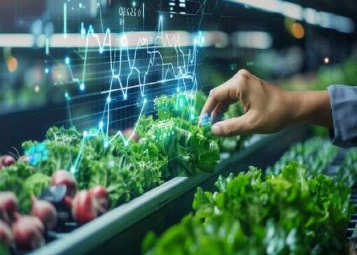 ورود هوش مصنوعی به اتاق تصمیم وزارت جهادکشاورزی؛ از تحلیل قوانین تا پایش نیروی انسانی