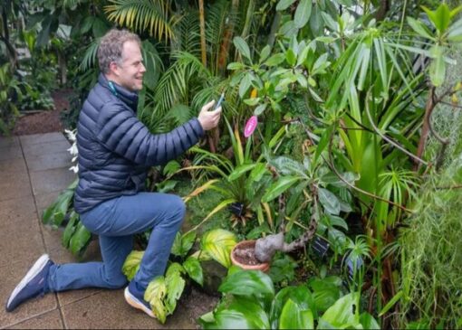 گفتگو با گیاهان با کمک هوش مصنوعی