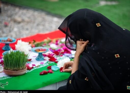 سین هشتم، ستیز با ماشین نیستی