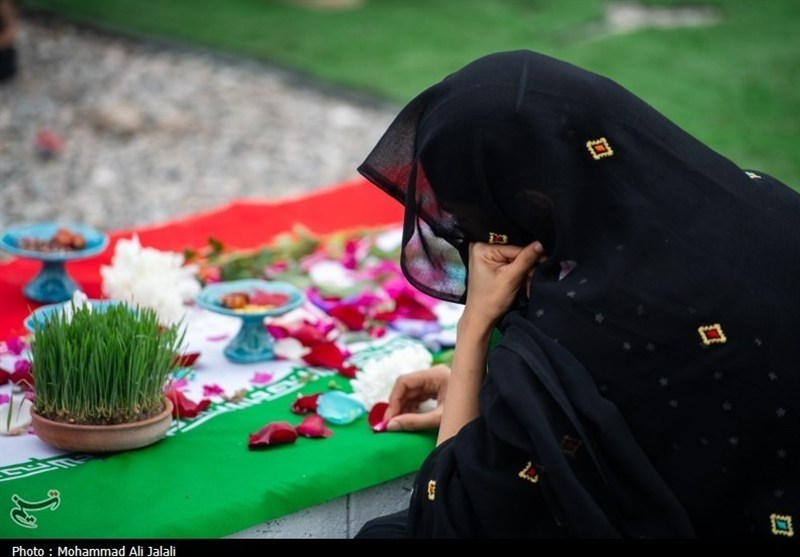 سین هشتم، ستیز با ماشین نیستی