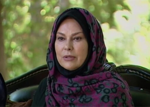 مهرانه مهین‌ترابی مجری یک برنامه درباره ایران شد