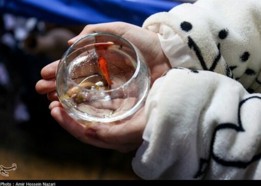 نوروز 1405؛ فرصتی برای بسط خودآگاهی ملی ایرانیان