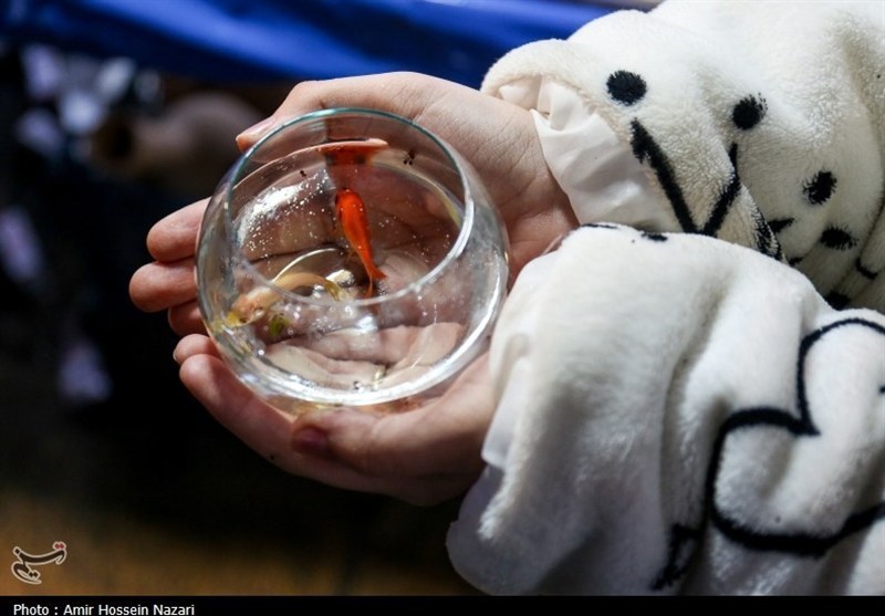 نوروز 1405؛ فرصتی برای بسط خودآگاهی ملی ایرانیان