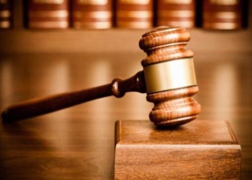 اموال مهناز افشار، نیکی کریمی و مزدک میرزایی توقیف شد