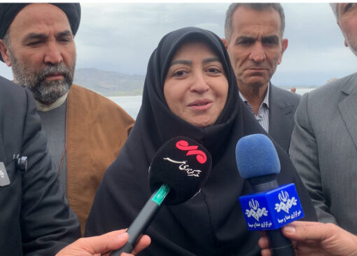 انصاری: مدیریت آب بخش کشاورزی برای احیای دریاچه ارومیه ضروری است