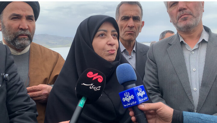 انصاری:لزوم جلوگیری از توسعه صنایع آبر؛ حق آبه محیط زیست جدی گرفته شود