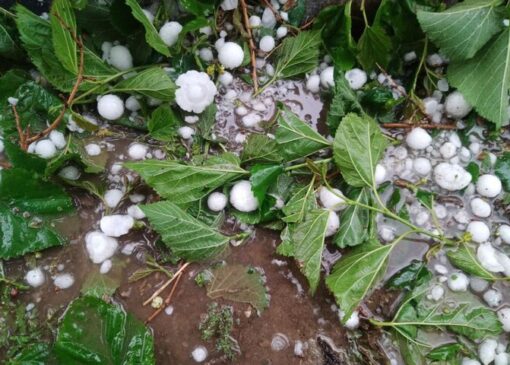 بارش تگرگ در مناطق کوهستانی ایلام