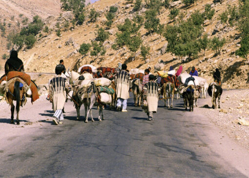 تاکنون حدود ۳۰ درصد از عشایر به نزدیکی مرزهای استان اصفهان رسیده‌اند