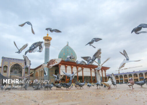 حضرت شاهچراغ(ع) پرچم‌دار جهاد تبیین است