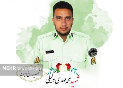 حکم قصاص قاتل شهید وکیلی اجرا شد