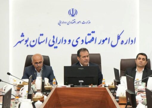 رستمی: کمیته ویژه پایداری اشتغال در استان بوشهر تشکیل می شود