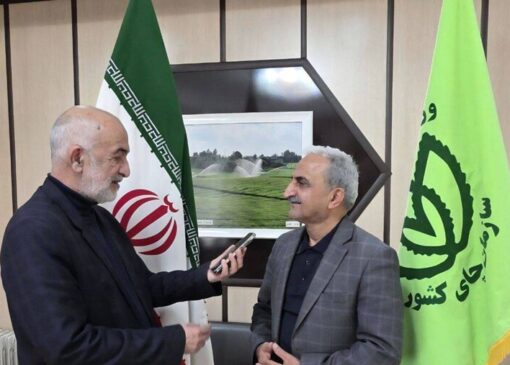 عقد قرارداد با ۱۲۰ کارخانه چایسازی گیلان و مازندران برای خرید برگ سبز