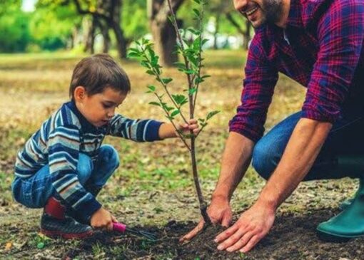 غرس 3000 نهال مثمر به نام و یاد رهبر شهید