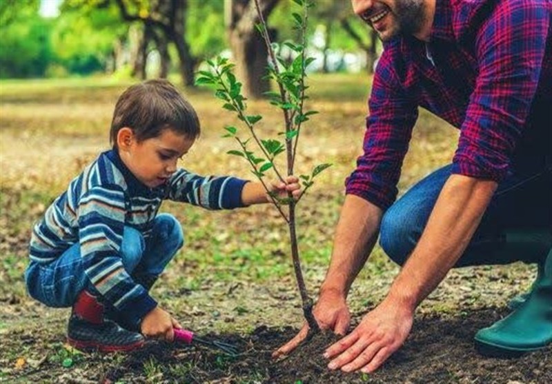 غرس 3000 نهال مثمر به نام و یاد رهبر شهید غرس 3000 نهال مثمر به نام و یاد رهبر شهید