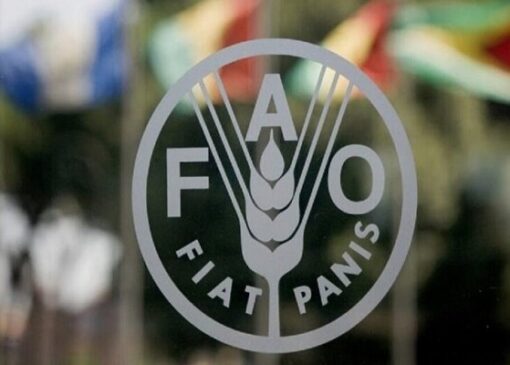 فائو جای سیاست‌بازی نیست