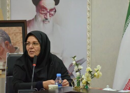 محمدی: نیمی از کتابخانه‌های کرمانشاه در جنگ رمضان فعال بودند