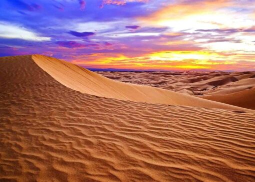 نهج حیات| راه رهایی از تباهی