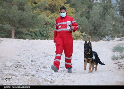 همدلی زیرکانه؛ راز بقا در فرهنگ ایرانی / تقدیر از سگ زنده یاب روی صحنه