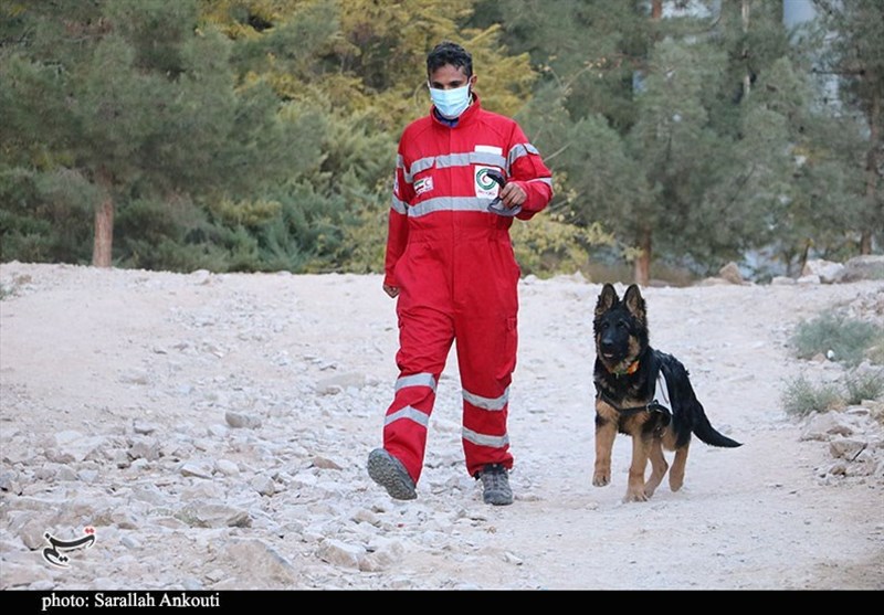 همدلی زیرکانه؛ راز بقا در فرهنگ ایرانی / تقدیر از سگ زنده یاب روی صحنه