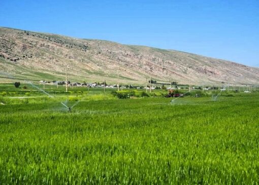 کریمی: ۱۸ هزار هکتار از اراضی سامانه گرمسیری به بهره‌برداری رسید