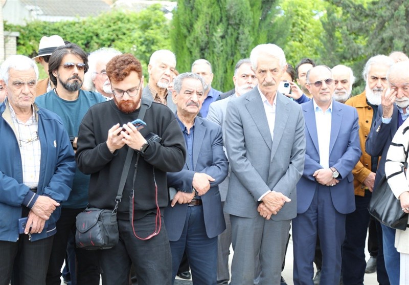 محمدرضا لطفی , موسیقی , 