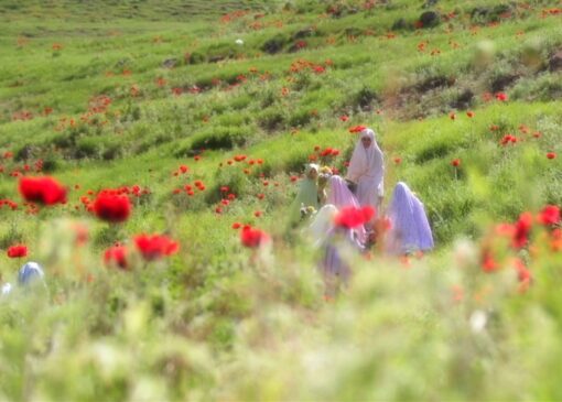 الگوی دینیِ حضور زن در جامعه؛ نه انزوا، نه بی‌مرزی