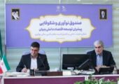 دیدار استاندار چهارمحال وبختیاری با رئیس صندوق نوآوری وشکوفایی کشور /پیگیری برای تأمین مالی طرح‌های کلان و توسعه زیست‌بوم فناوری استان